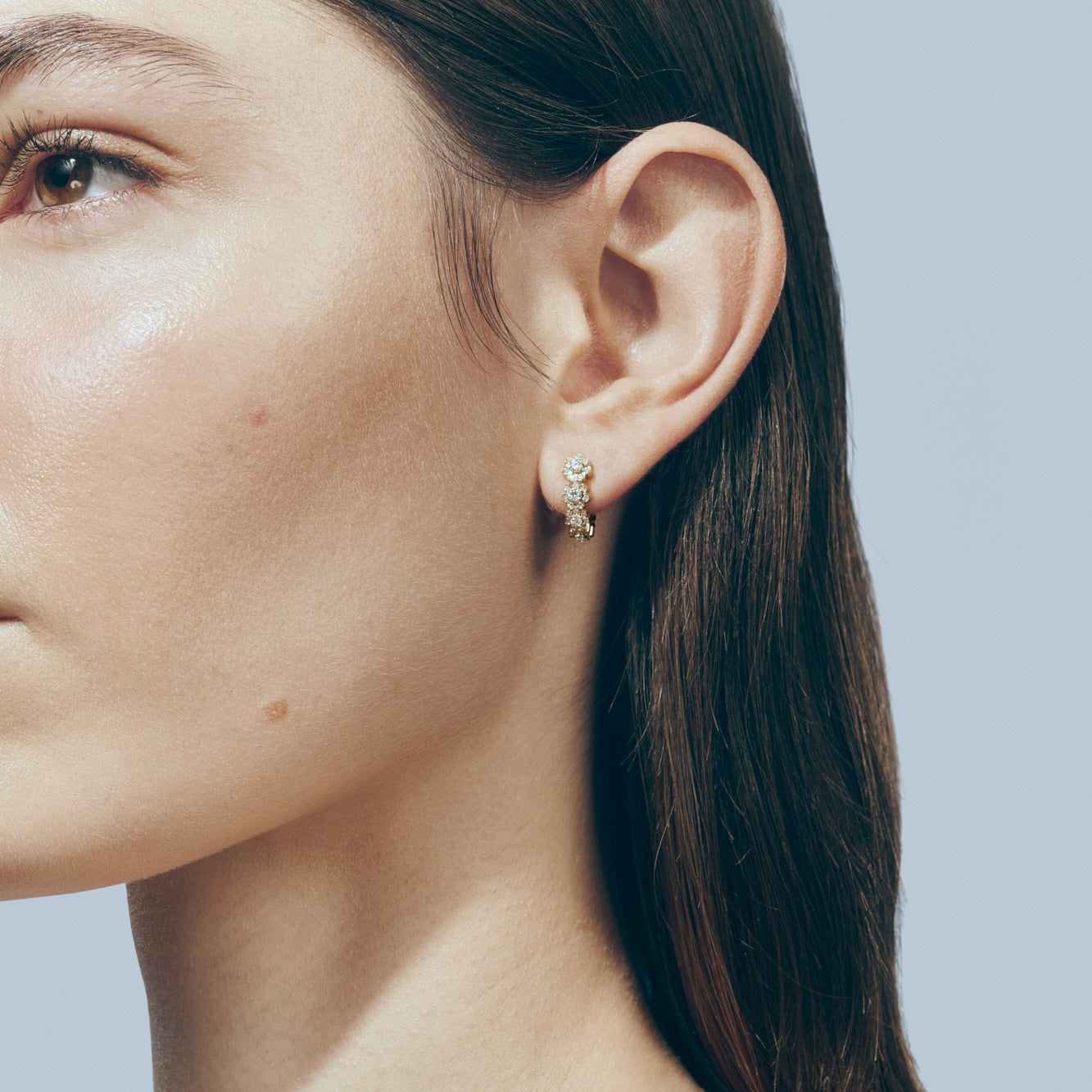 Petite Boucle de Fleurs