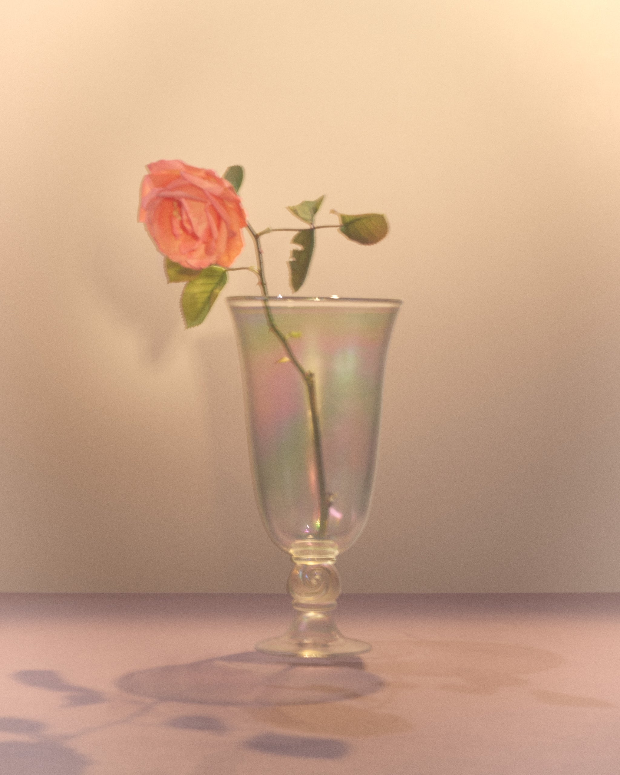 Petit Cristal Escargot vase with Rose